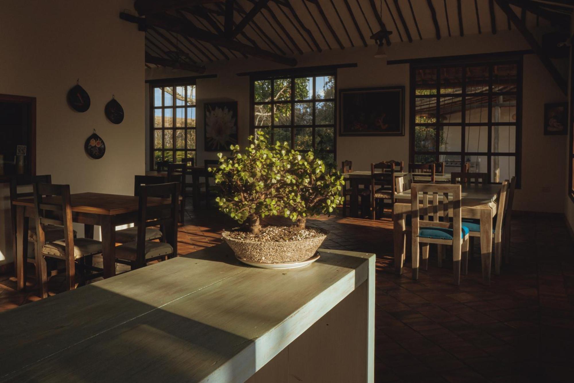 Hotel Finca Buenos Aires Баричара Экстерьер фото